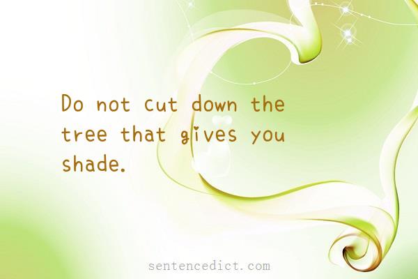Good sentence's beautiful picture_Do not cut down the tree that gives you shade.