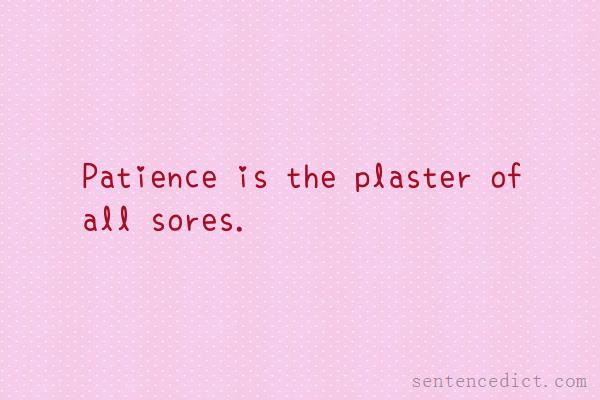 Good sentence's beautiful picture_Patience is the plaster of all sores.
