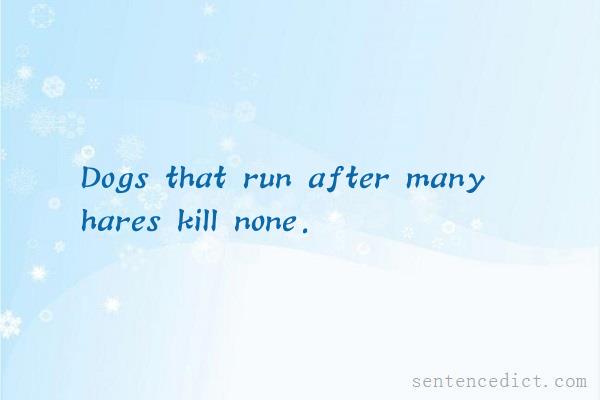 Good sentence's beautiful picture_Dogs that run after many hares kill none.