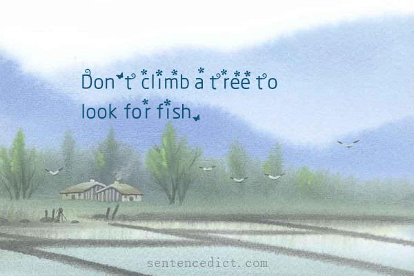 Good sentence's beautiful picture_Don't climb a tree to look for fish.