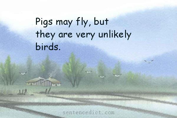 Good sentence's beautiful picture_Pigs may fly, but they are very unlikely birds.