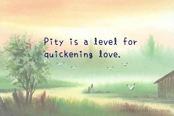 Good sentence's beautiful picture_Pity is a level for quickening love.