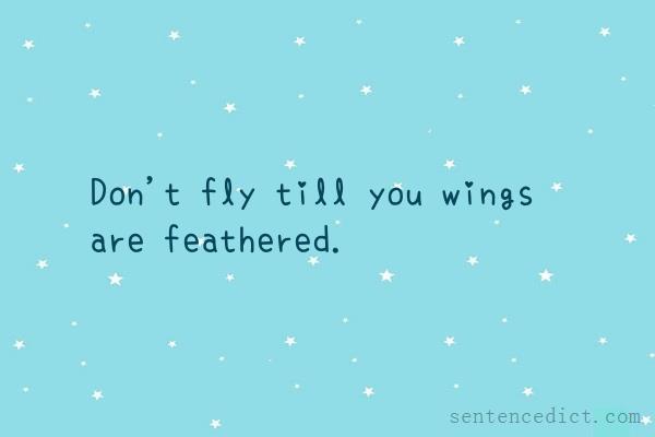 Good sentence's beautiful picture_Don't fly till you wings are feathered.