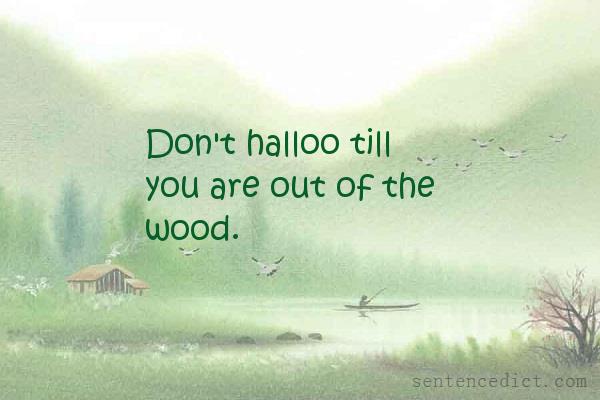 Good sentence's beautiful picture_Don't halloo till you are out of the wood.