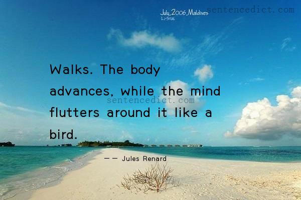 Good sentence's beautiful picture_Walks. The body advances, while the mind flutters around it like a bird.