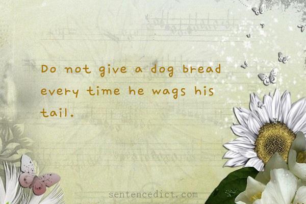 Good sentence's beautiful picture_Do not give a dog bread every time he wags his tail.
