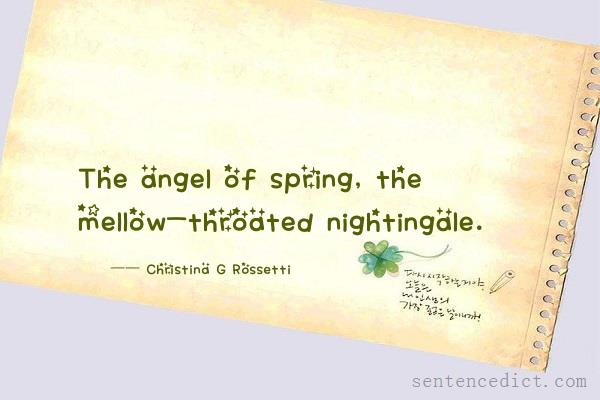 Good sentence's beautiful picture_The angel of spring, the mellow-throated nightingale.