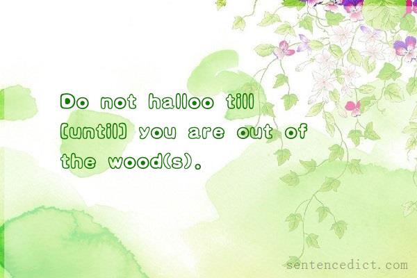 Good sentence's beautiful picture_Do not halloo till [until] you are out of the wood(s).