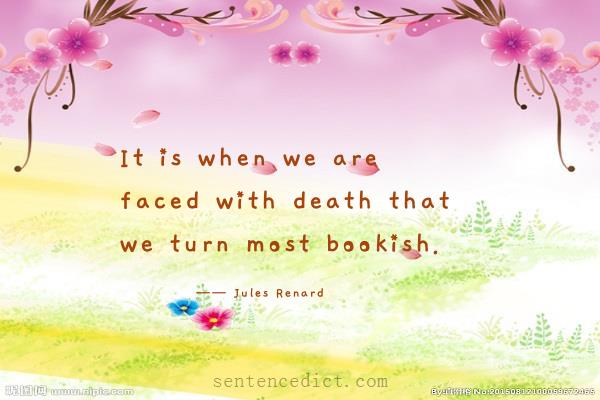 Good sentence's beautiful picture_It is when we are faced with death that we turn most bookish.