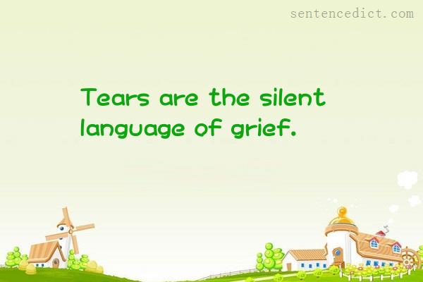 Good sentence's beautiful picture_Tears are the silent language of grief.