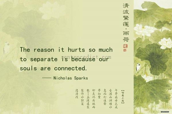 Good sentence's beautiful picture_The reason it hurts so much to separate is because our souls are connected.