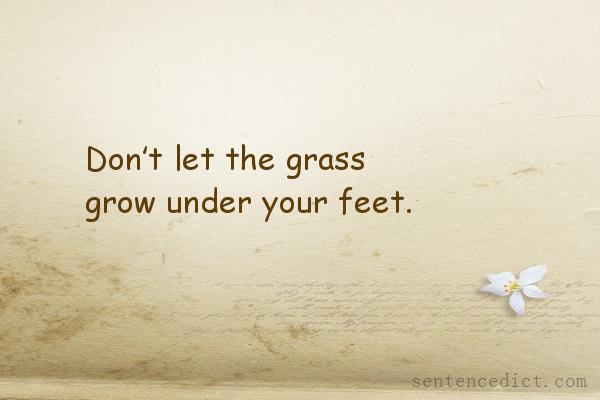 Good sentence's beautiful picture_Don’t let the grass grow under your feet.