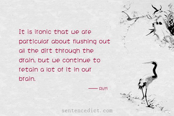 Good sentence's beautiful picture_It is ironic that we are particular about flushing out all the dirt through the drain, but we continue to retain a lot of it in our brain.