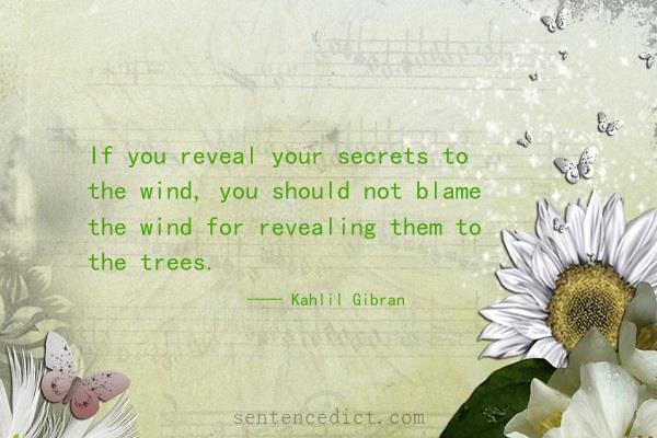 Good sentence's beautiful picture_If you reveal your secrets to the wind, you should not blame the wind for revealing them to the trees.