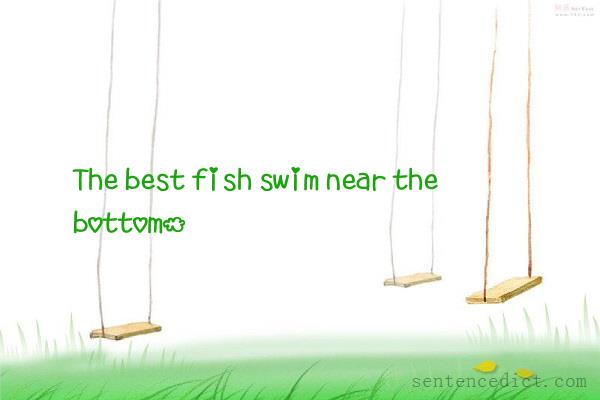 Good sentence's beautiful picture_The best fish swim near the bottom.