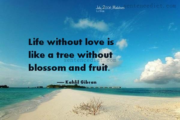 Good sentence's beautiful picture_Life without love is like a tree without blossom and fruit.