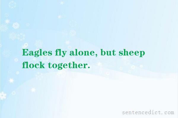 Good sentence's beautiful picture_Eagles fly alone, but sheep flock together.
