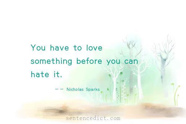 Good sentence's beautiful picture_You have to love something before you can hate it.
