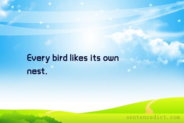 Good sentence's beautiful picture_Every bird likes its own nest.