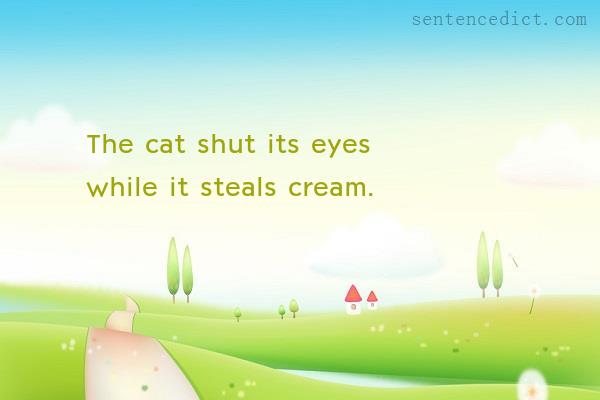 Good sentence's beautiful picture_The cat shut its eyes while it steals cream.