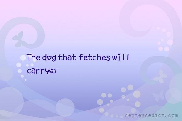 Good sentence's beautiful picture_The dog that fetches will carry.