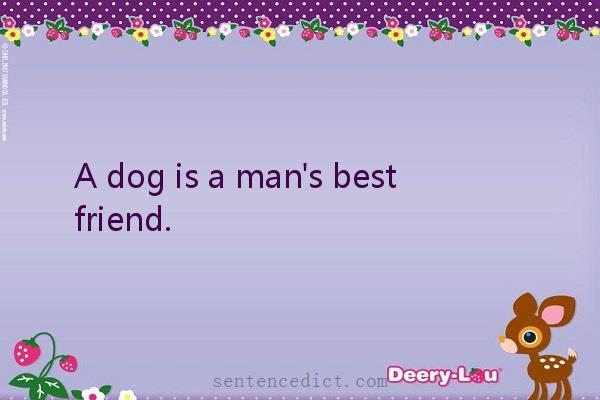 Good sentence's beautiful picture_A dog is a man's best friend.