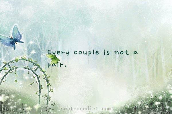 Good sentence's beautiful picture_Every couple is not a pair.