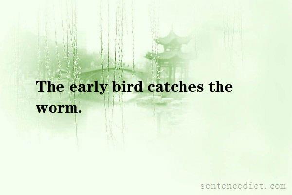 Good sentence's beautiful picture_The early bird catches the worm.