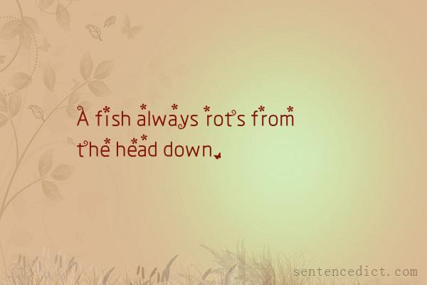 Good sentence's beautiful picture_A fish always rots from the head down.