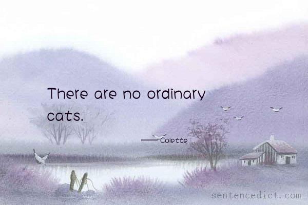 Good sentence's beautiful picture_There are no ordinary cats.