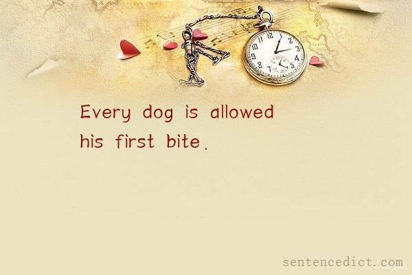 Good sentence's beautiful picture_Every dog is allowed his first bite.