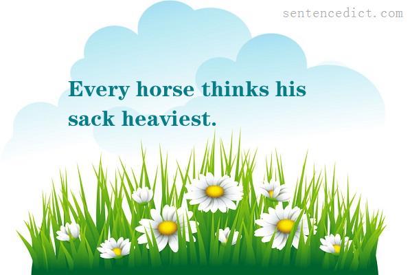 Good sentence's beautiful picture_Every horse thinks his sack heaviest.