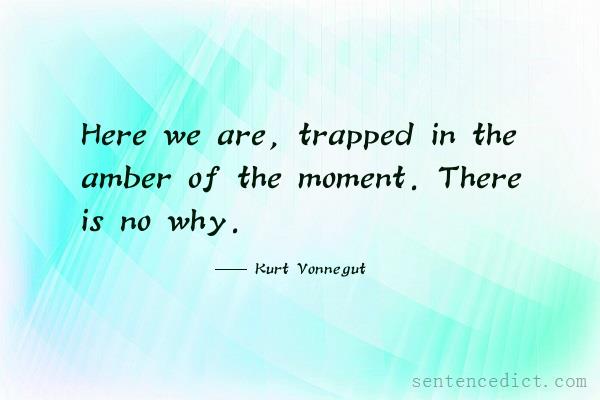 Good sentence's beautiful picture_Here we are, trapped in the amber of the moment. There is no why.