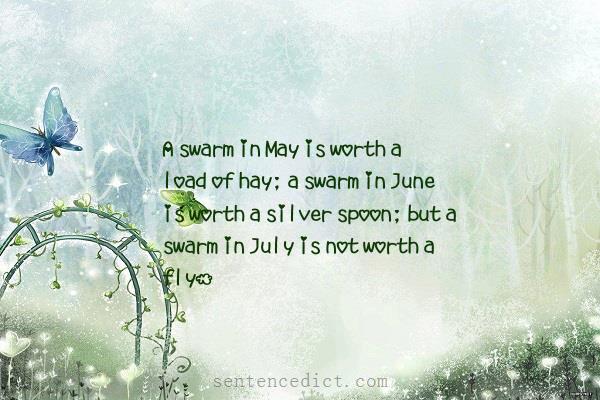 Good sentence's beautiful picture_A swarm in May is worth a load of hay; a swarm in June is worth a silver spoon; but a swarm in July is not worth a fly.