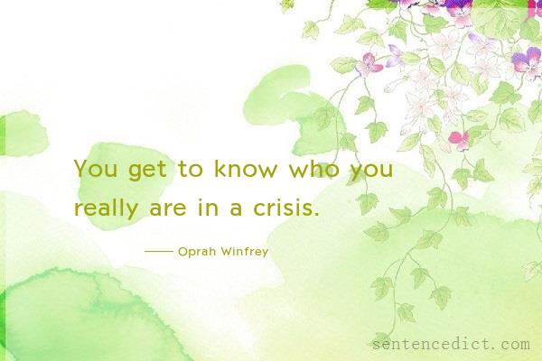 Good sentence's beautiful picture_You get to know who you really are in a crisis.