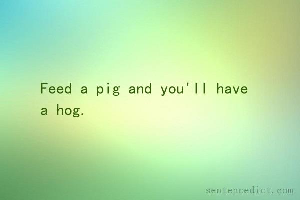 Good sentence's beautiful picture_Feed a pig and you'll have a hog.