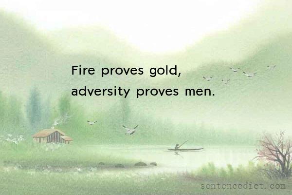 Good sentence's beautiful picture_Fire proves gold, adversity proves men.