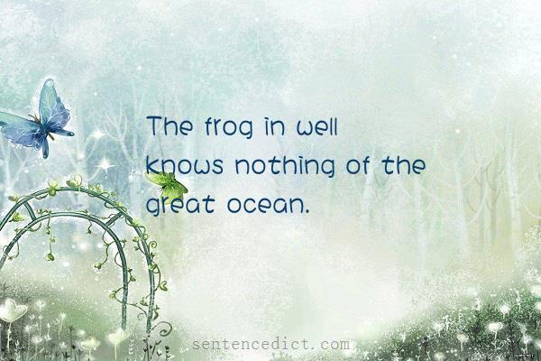 Good sentence's beautiful picture_The frog in well knows nothing of the great ocean.