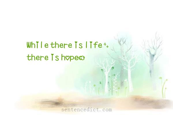 Good sentence's beautiful picture_While there is life, there is hope.