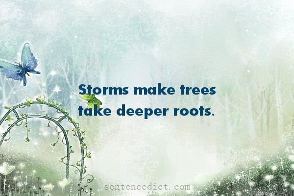 Good sentence's beautiful picture_Storms make trees take deeper roots.