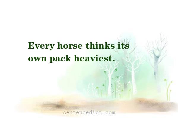 Good sentence's beautiful picture_Every horse thinks its own pack heaviest.