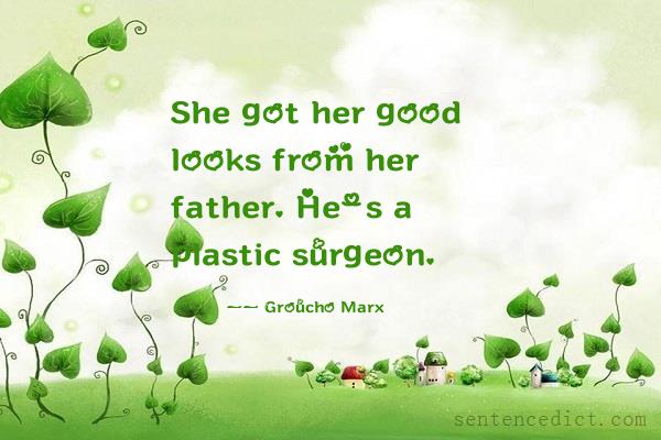 Good sentence's beautiful picture_She got her good looks from her father. He's a plastic surgeon.
