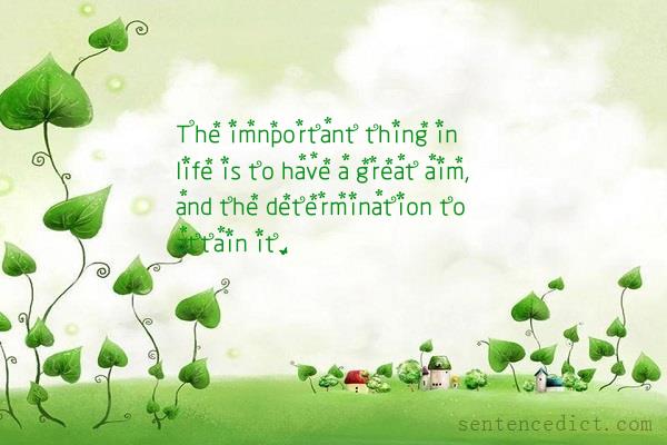 Good sentence's beautiful picture_The imnportant thing in life is to have a great aim, and the determination to attain it.