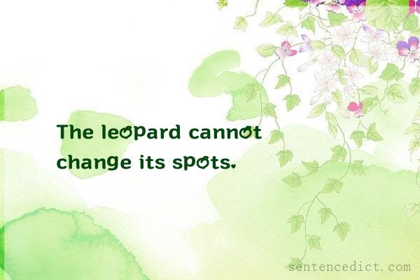 Good sentence's beautiful picture_The leopard cannot change its spots.