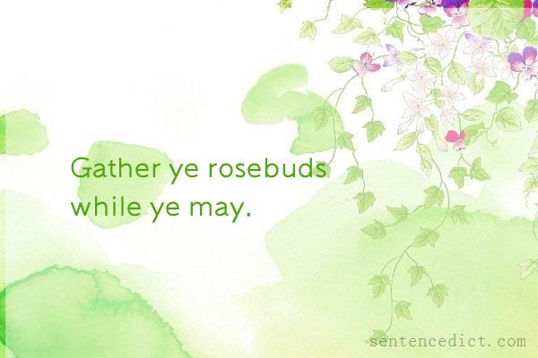 Good sentence's beautiful picture_Gather ye rosebuds while ye may.