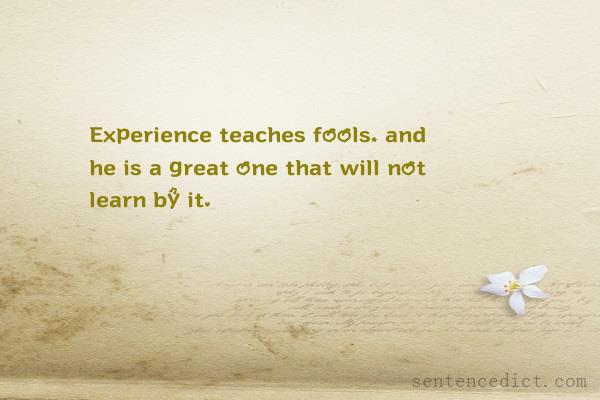 Good sentence's beautiful picture_Experience teaches fools, and he is a great one that will not learn by it.