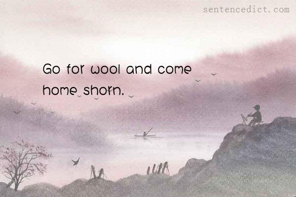 Good sentence's beautiful picture_Go for wool and come home shorn.