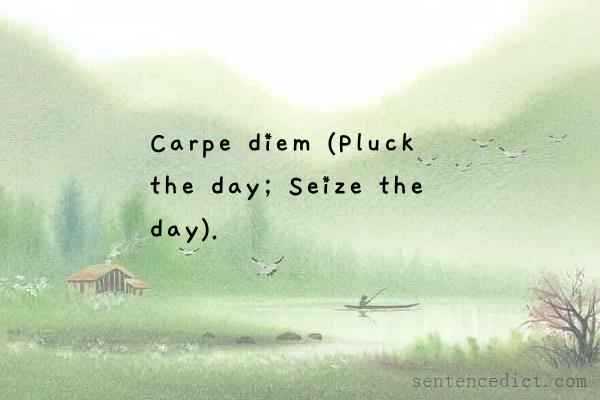 Good sentence's beautiful picture_Carpe diem (Pluck the day; Seize the day).