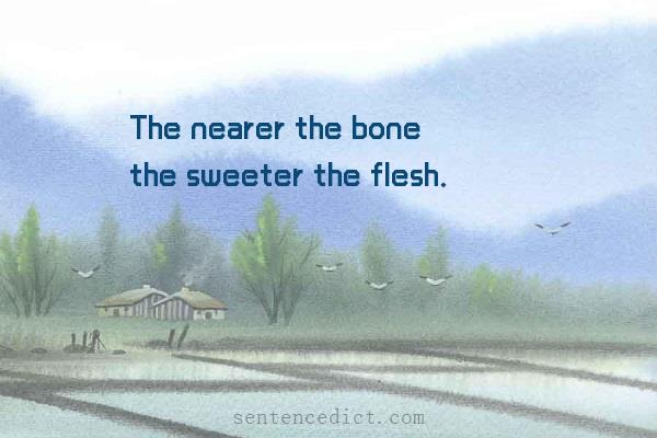 Good sentence's beautiful picture_The nearer the bone the sweeter the flesh.