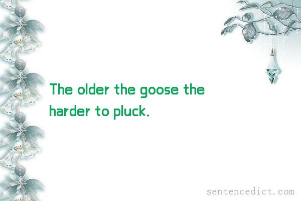 Good sentence's beautiful picture_The older the goose the harder to pluck.